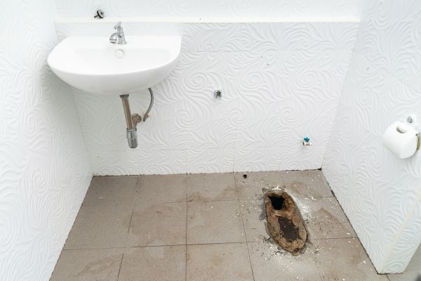 Toilet Disposal in Bismarck